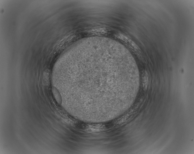 X0000087360757200705181151