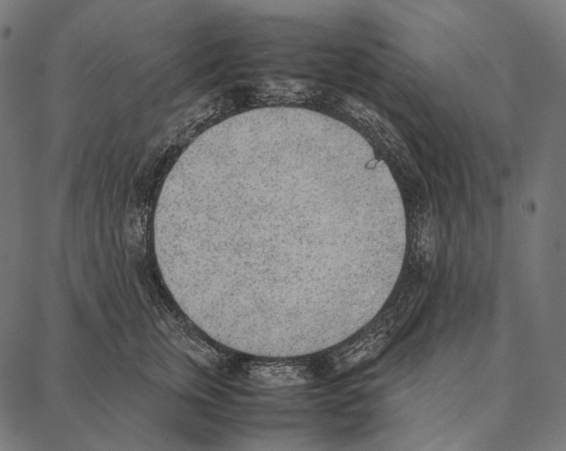 X0000087360759200705181151