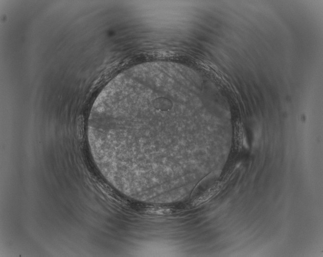 X0000087360760200705181151