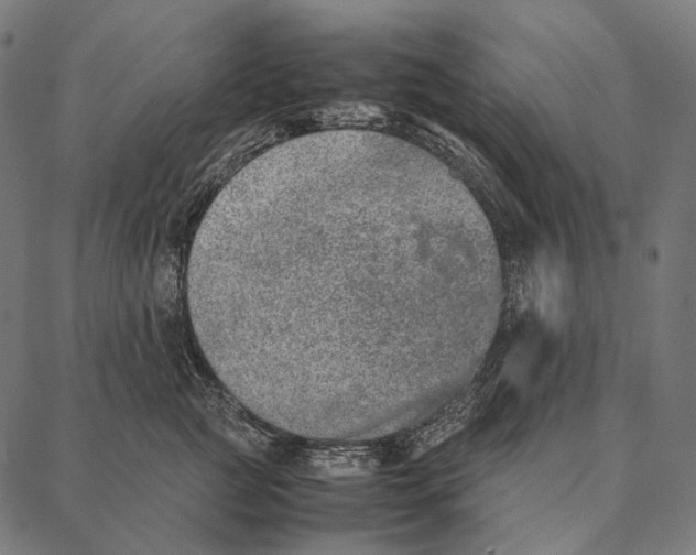 X0000087360761200705181151