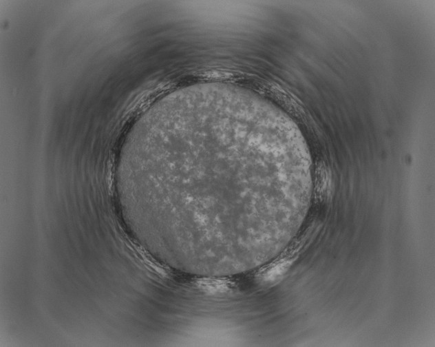 X0000087360762200705181151