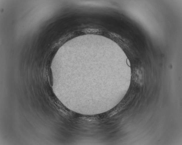 X0000087360763200705181151