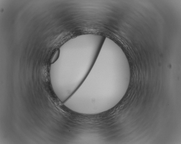 X0000087360764200705181151