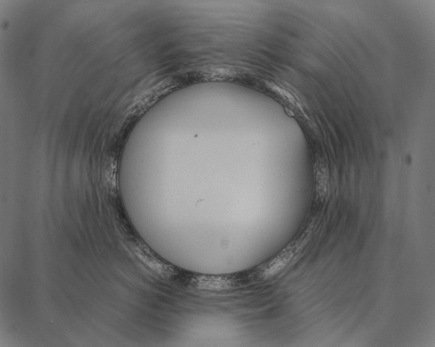 X0000087360766200705181151