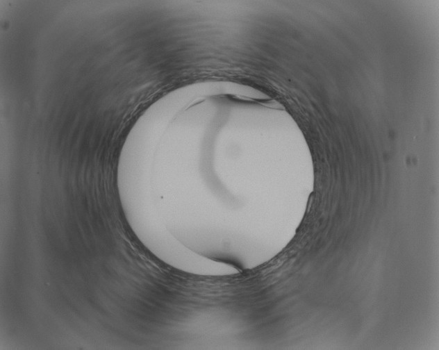 X0000087360768200705181151