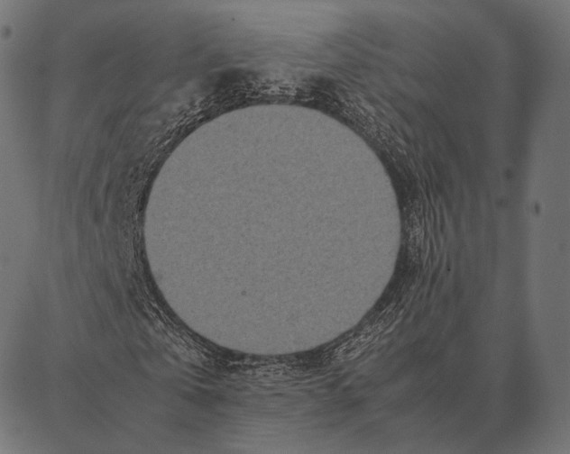 X0000087360769200705181150