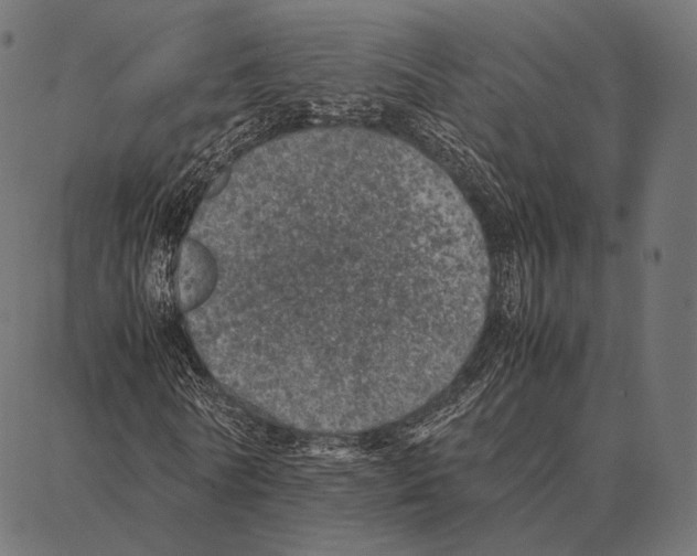 X0000087360770200705181150