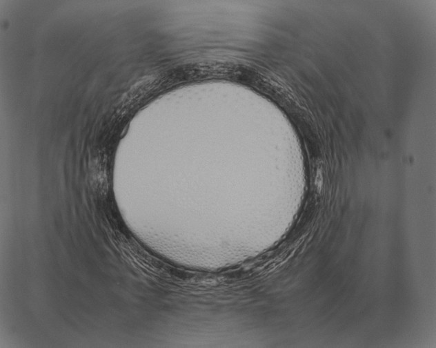 X0000087360771200705181150