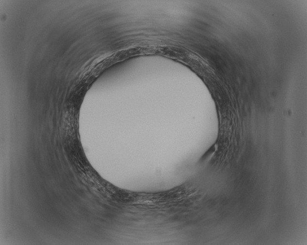 X0000087360773200705181150