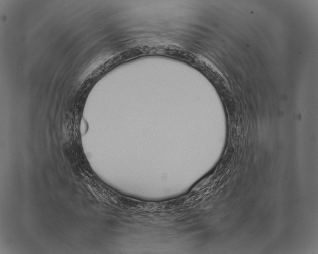 X0000087360775200705181150