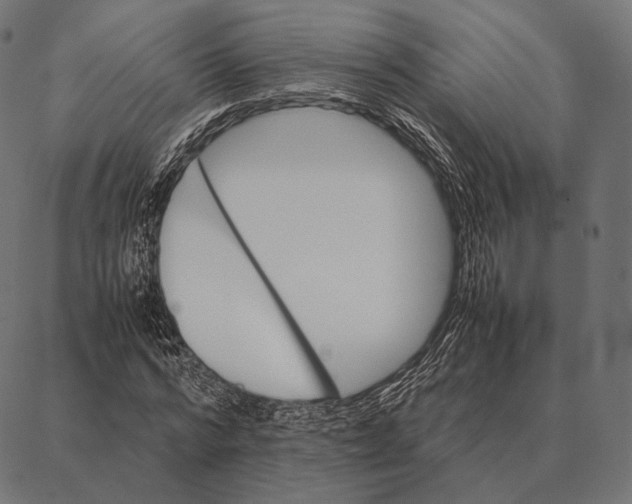 X0000087360776200705181150