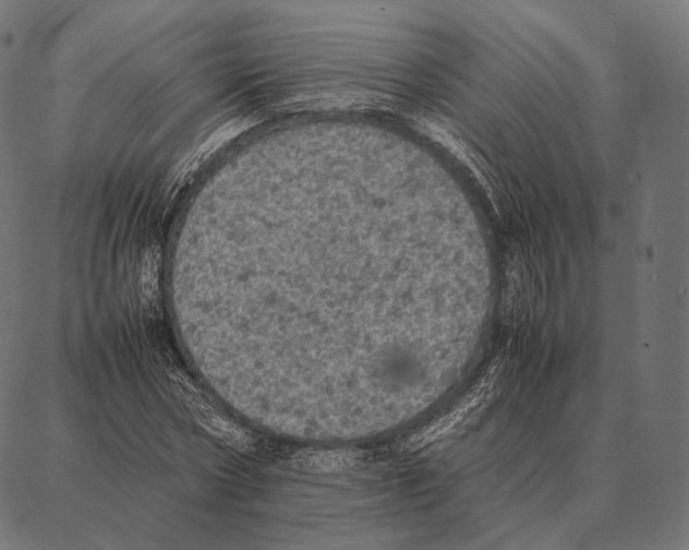 X0000087360778200705181150