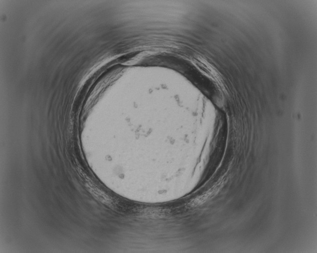 X0000087360779200705181150