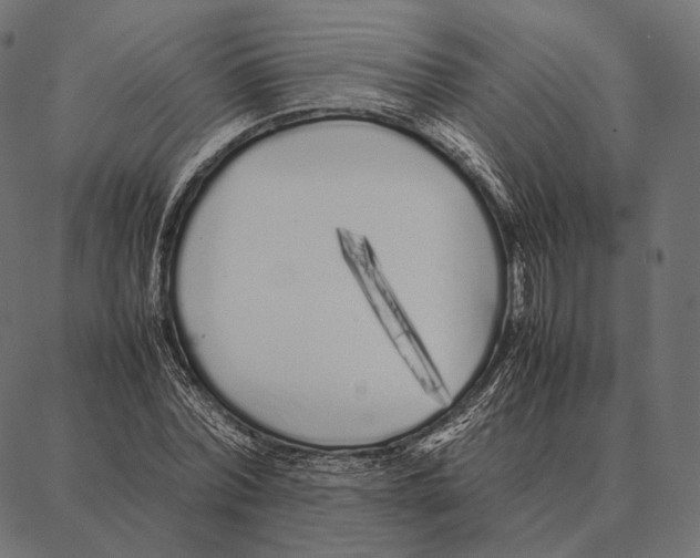 X0000087360780200705181150