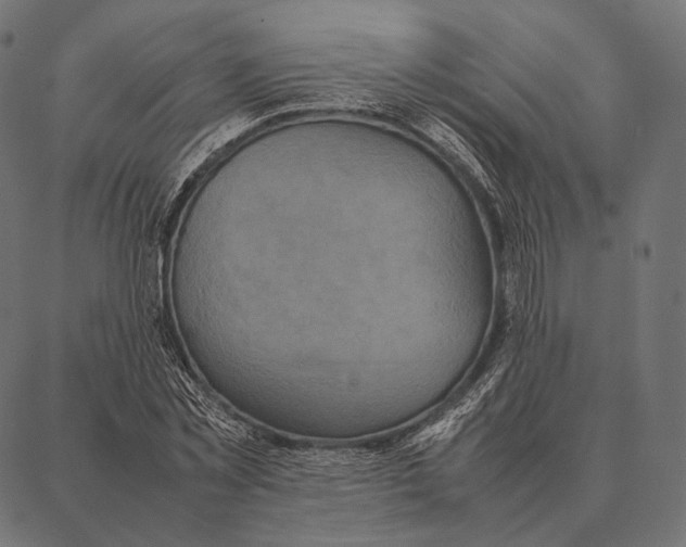 X0000087360781200705181150