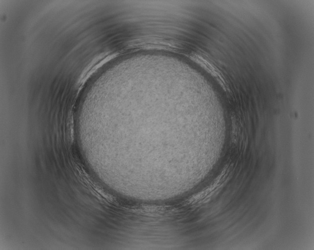 X0000087360782200705181150