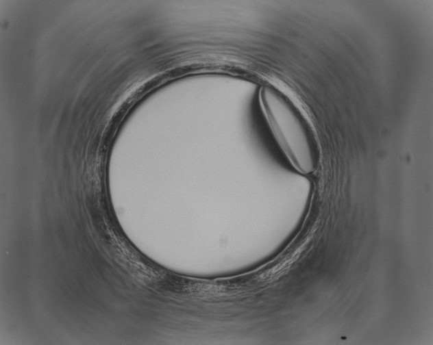 X0000087360783200705181150