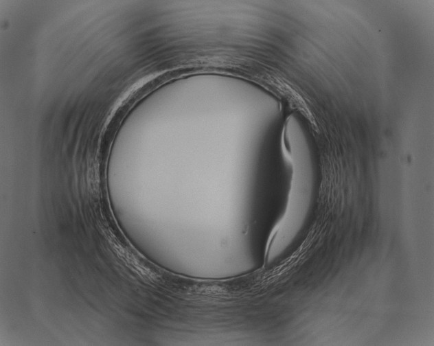 X0000087360784200705181150