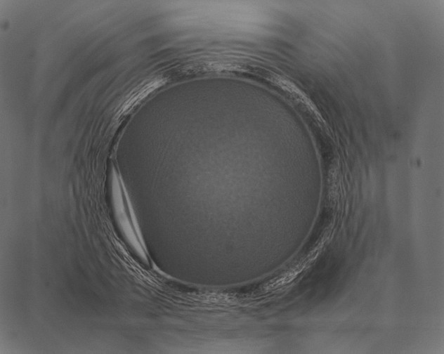 X0000087360785200705181150