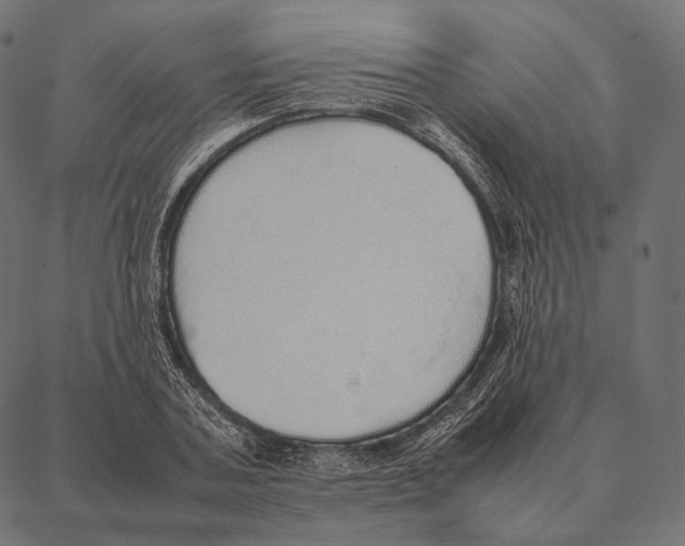 X0000087360787200705181150