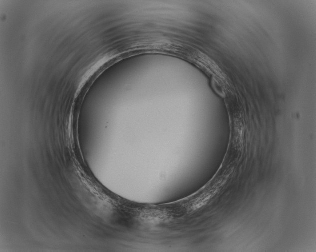 X0000087360788200705181150