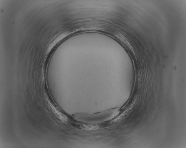 X0000087360789200705181150