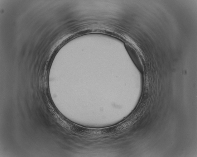 X0000087360791200705181150