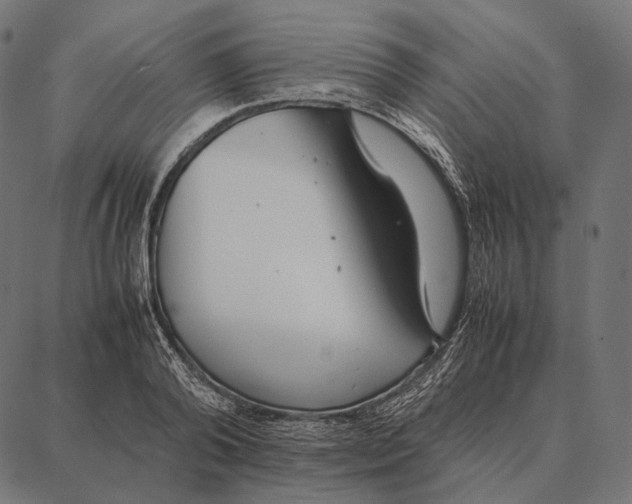 X0000087360792200705181150