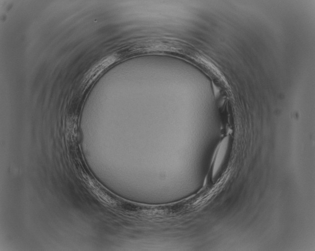 X0000087360793200705181150