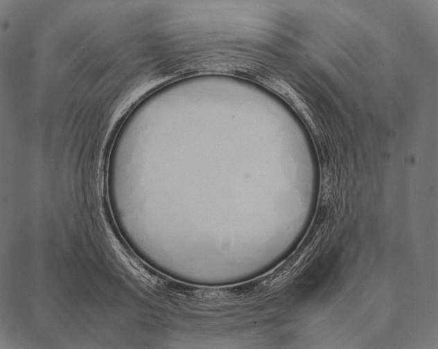 X0000087360795200705181150