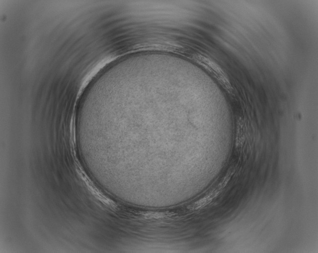 X0000087360796200705181150