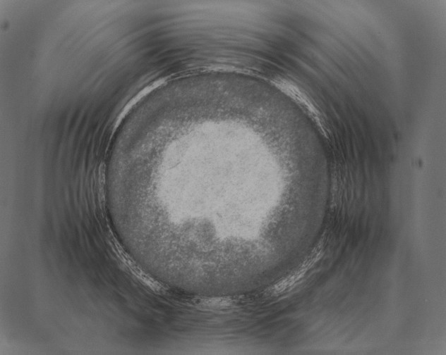 X0000087360798200705181150