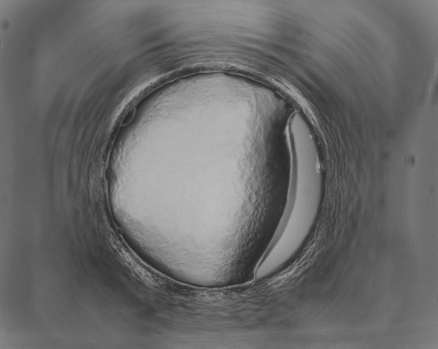 X0000087360799200705181150