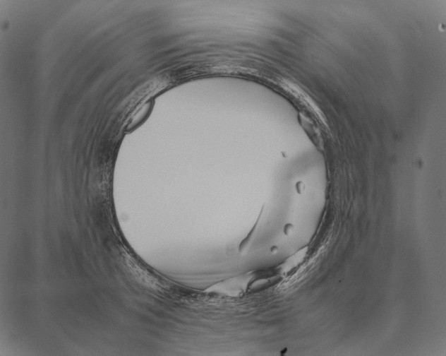 X0000087360801200705181150