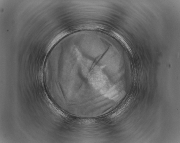 X0000087360802200705181150