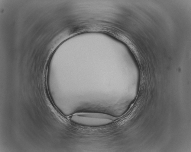 X0000087360803200705181150