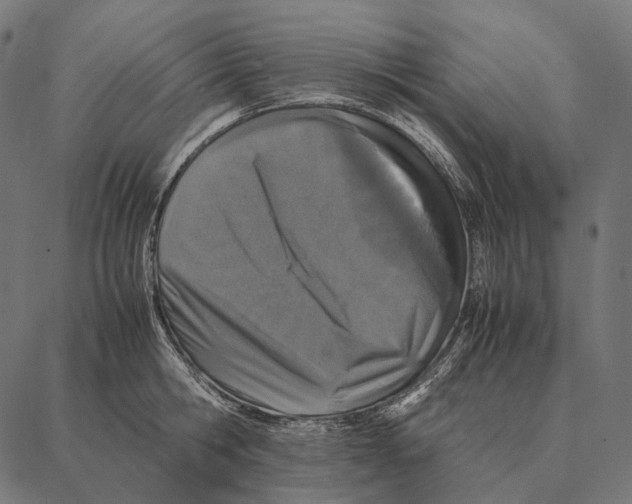 X0000087360806200705181150