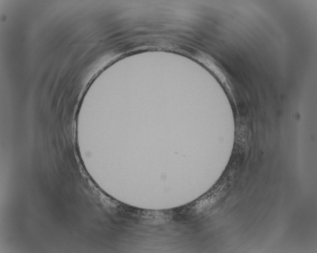 X0000087360807200705181150