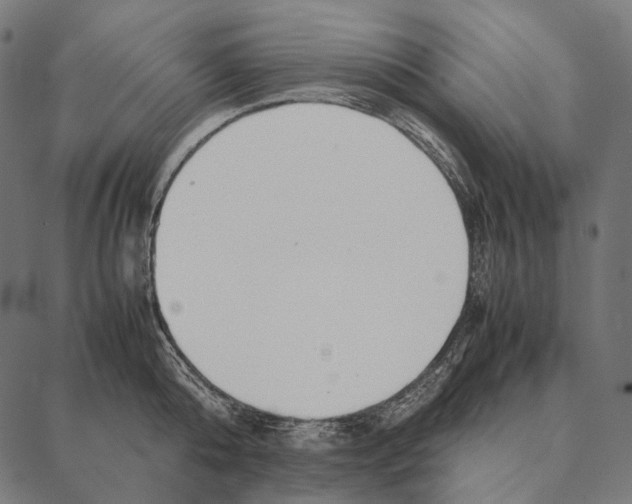 X0000087360808200705181150