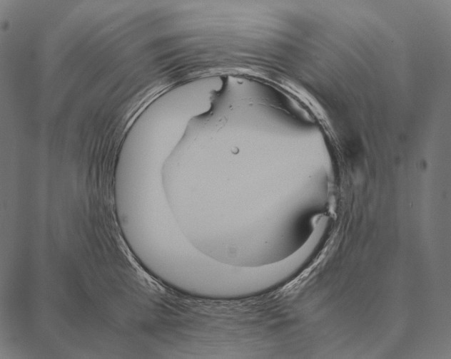 X0000087360809200705181150