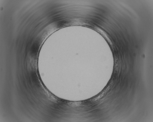 X0000087360810200705181150