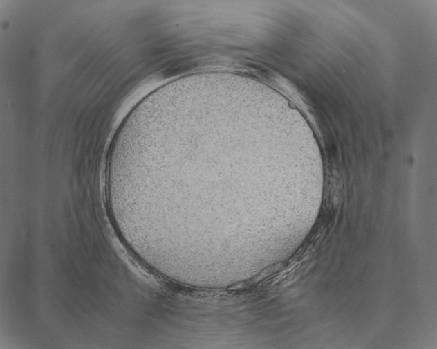 X0000087360811200705181150