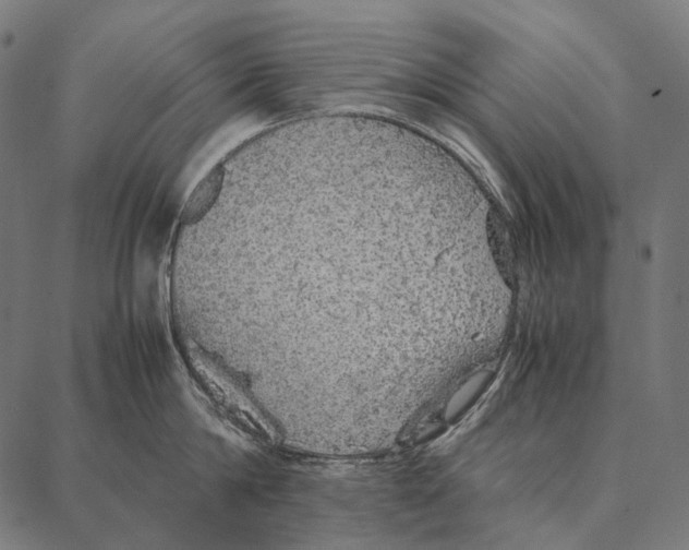 X0000087360814200705181150