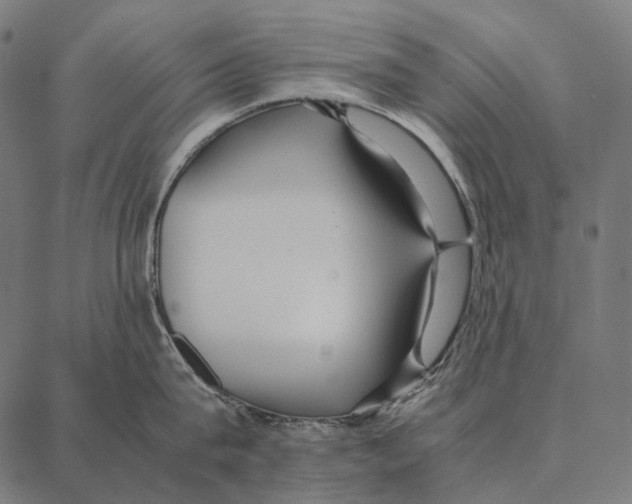 X0000087360815200705181150