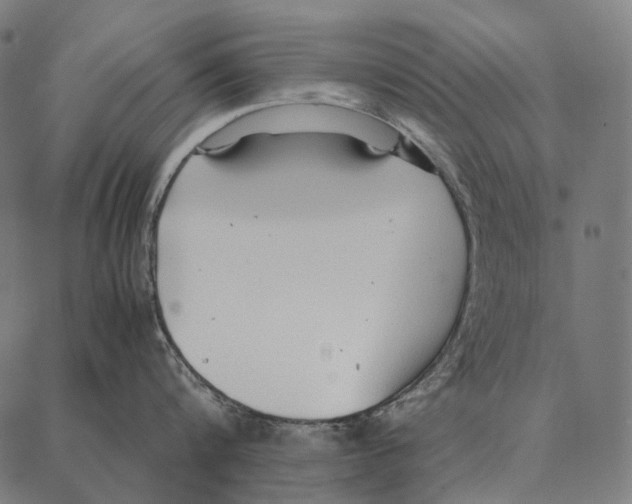 X0000087360816200705181150