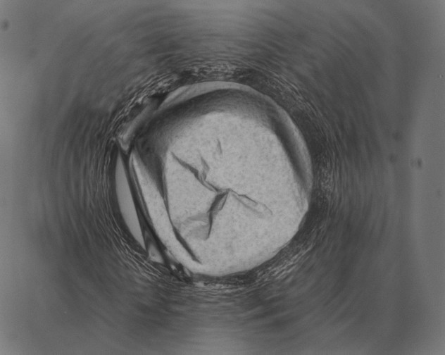 X0000087360818200705181149