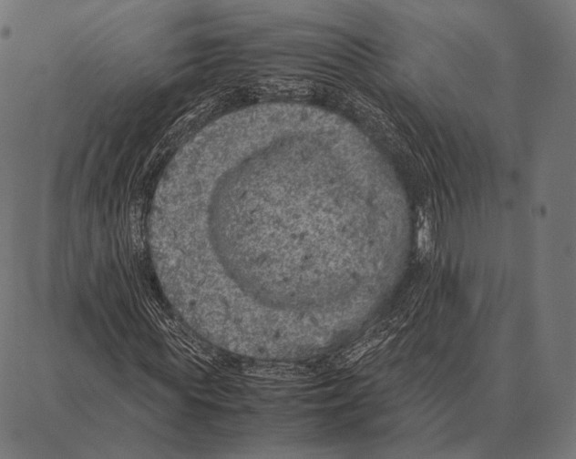 X0000087360819200705181149