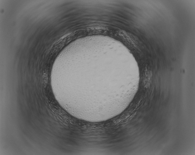 X0000087360821200705181149