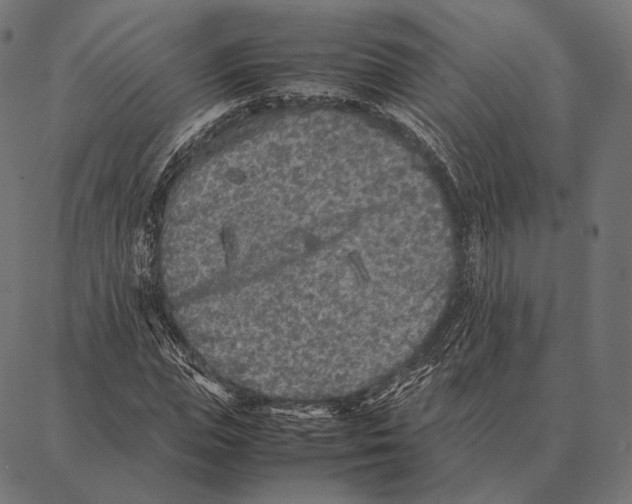 X0000087360823200705181149