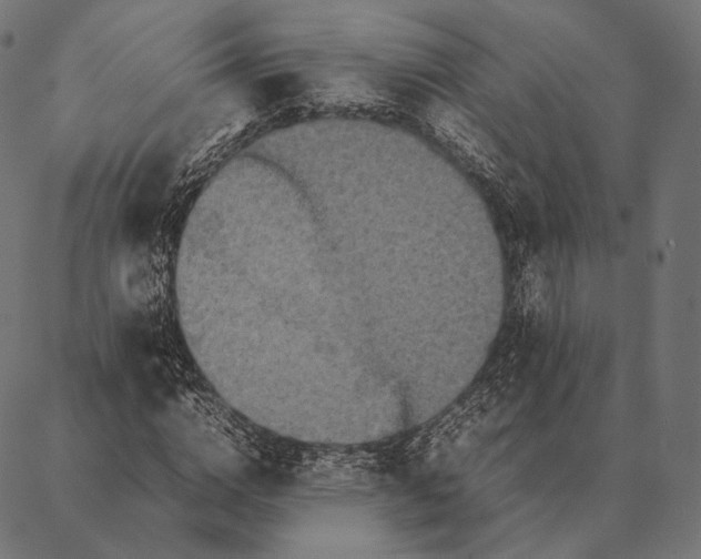 X0000087360824200705181149